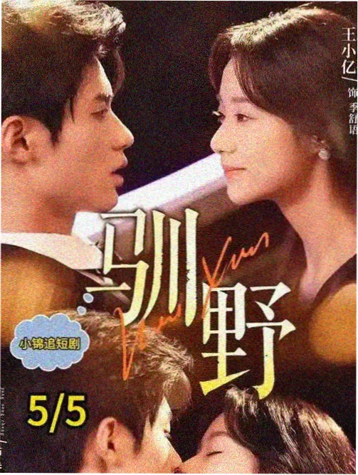 落日余晖 电视剧免费观看